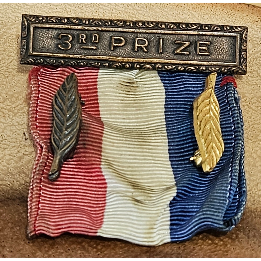 VTG RARE 30's Antique Eagle Boy Scouts 3rd Prize Ribbon Tricolor Feather Pins